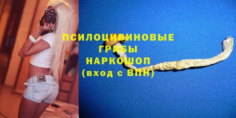 Галлюциногенные грибы MAGIC MUSHROOMS  Лакинск 